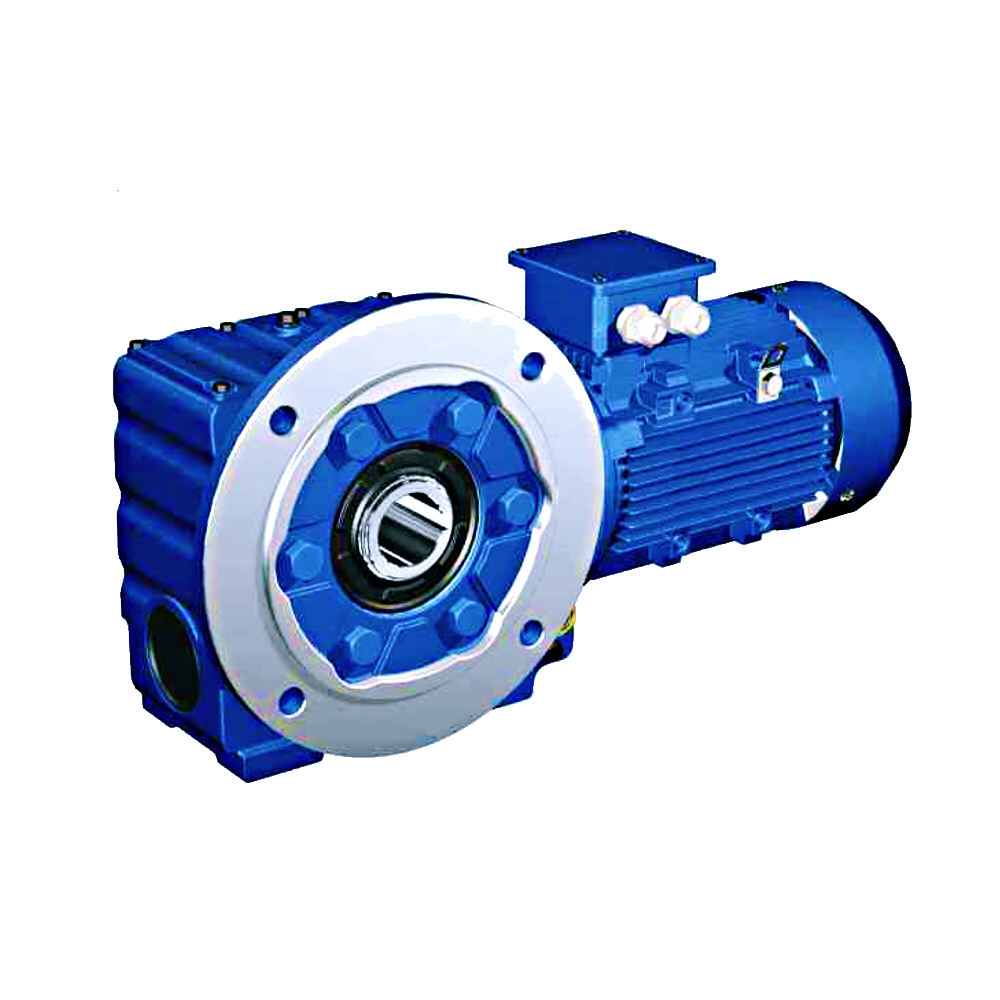 SS Helical-worm Gear Drives