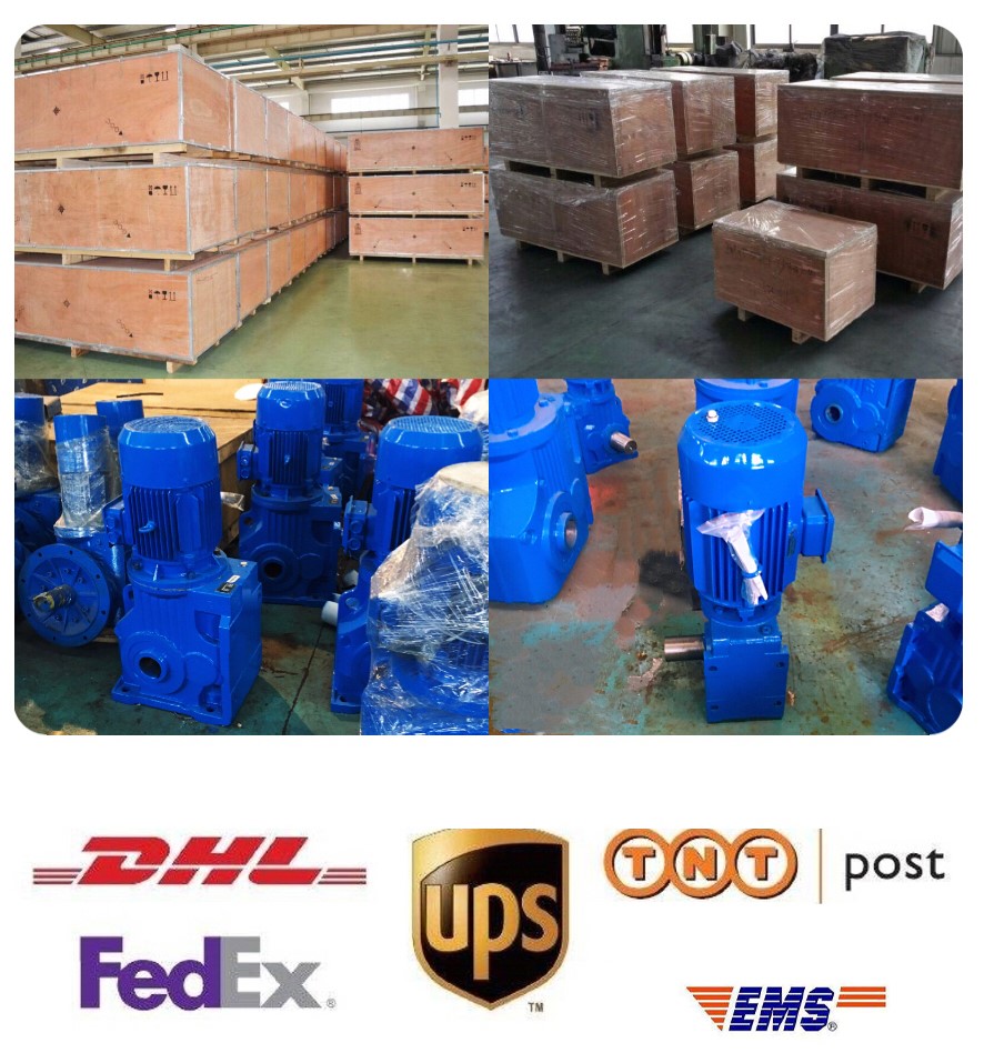 SAINEER Packaging & Shipping Method
